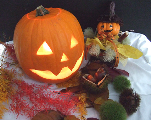 手作りかぼちゃランタン ジャック オー ランタン カービングキット未使用 はなどんやマガジン