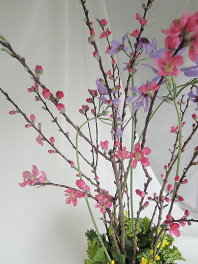 うきうき花レシピ 菜の花と桃の節句アレンジ はなどんやマガジン