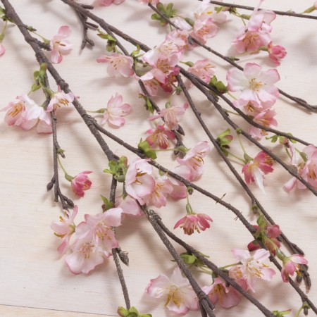 春のディスプレイにぴったりな桜の造花 はなどんやマガジン