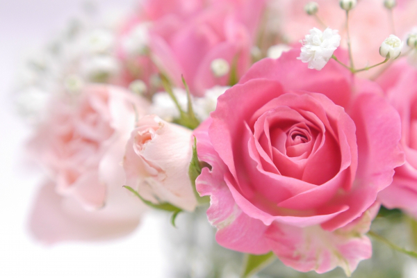 万人に愛される花 バラ ローズ 造花のおすすめ はなどんやマガジン