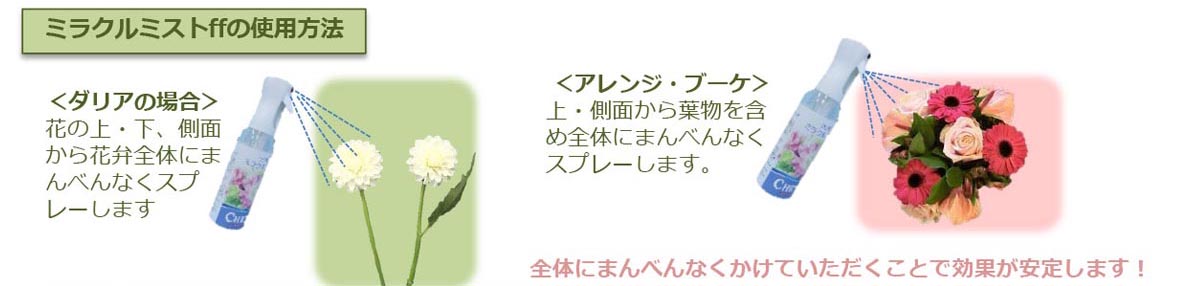 切り花栄養剤のパイオニア クリザール・ジャパンおすすめ商品ご紹介！ | はなどんやマガジン