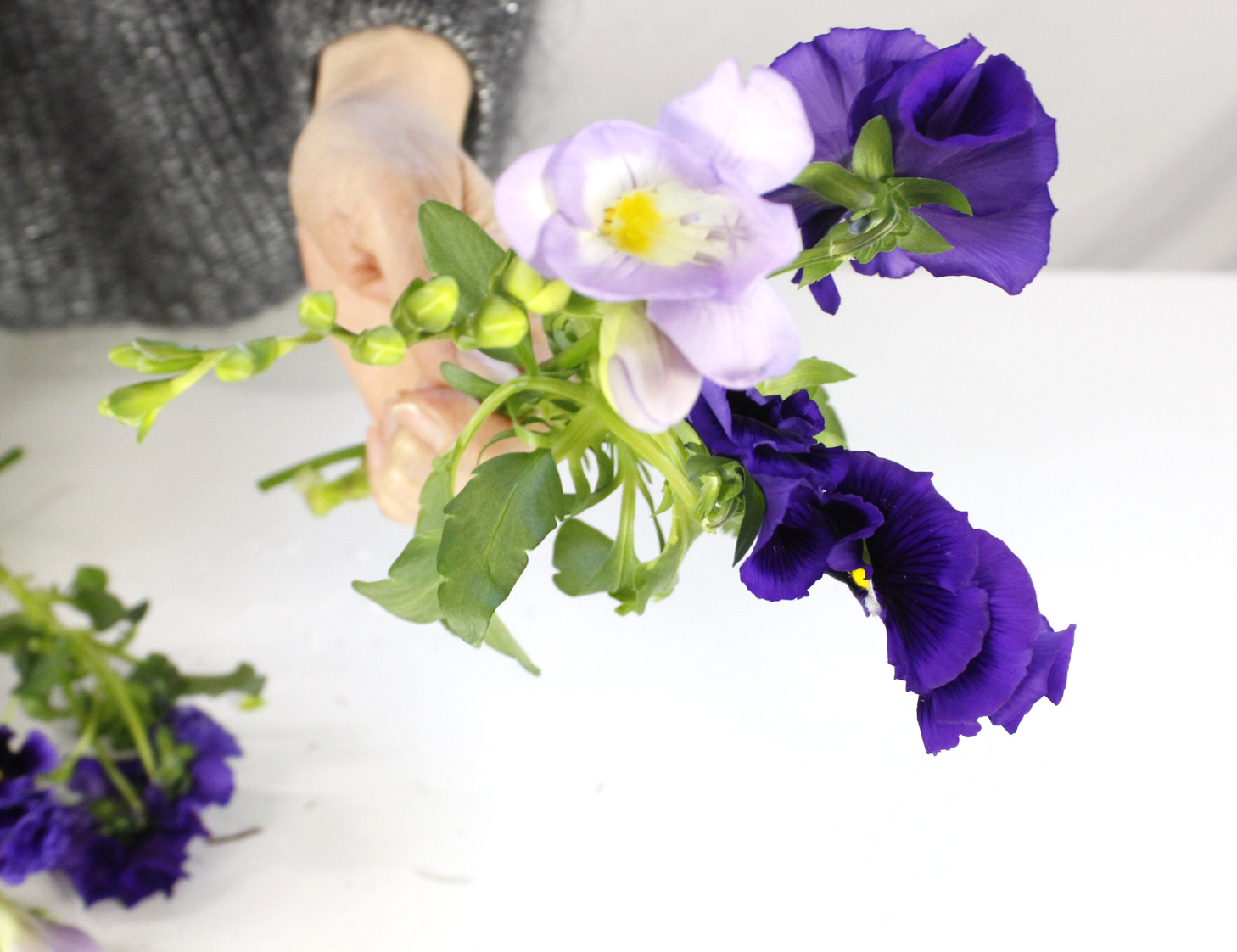 春の花 フリージアを飾ってみましょう シンプルな花の暮らし 3月 はなどんやマガジン