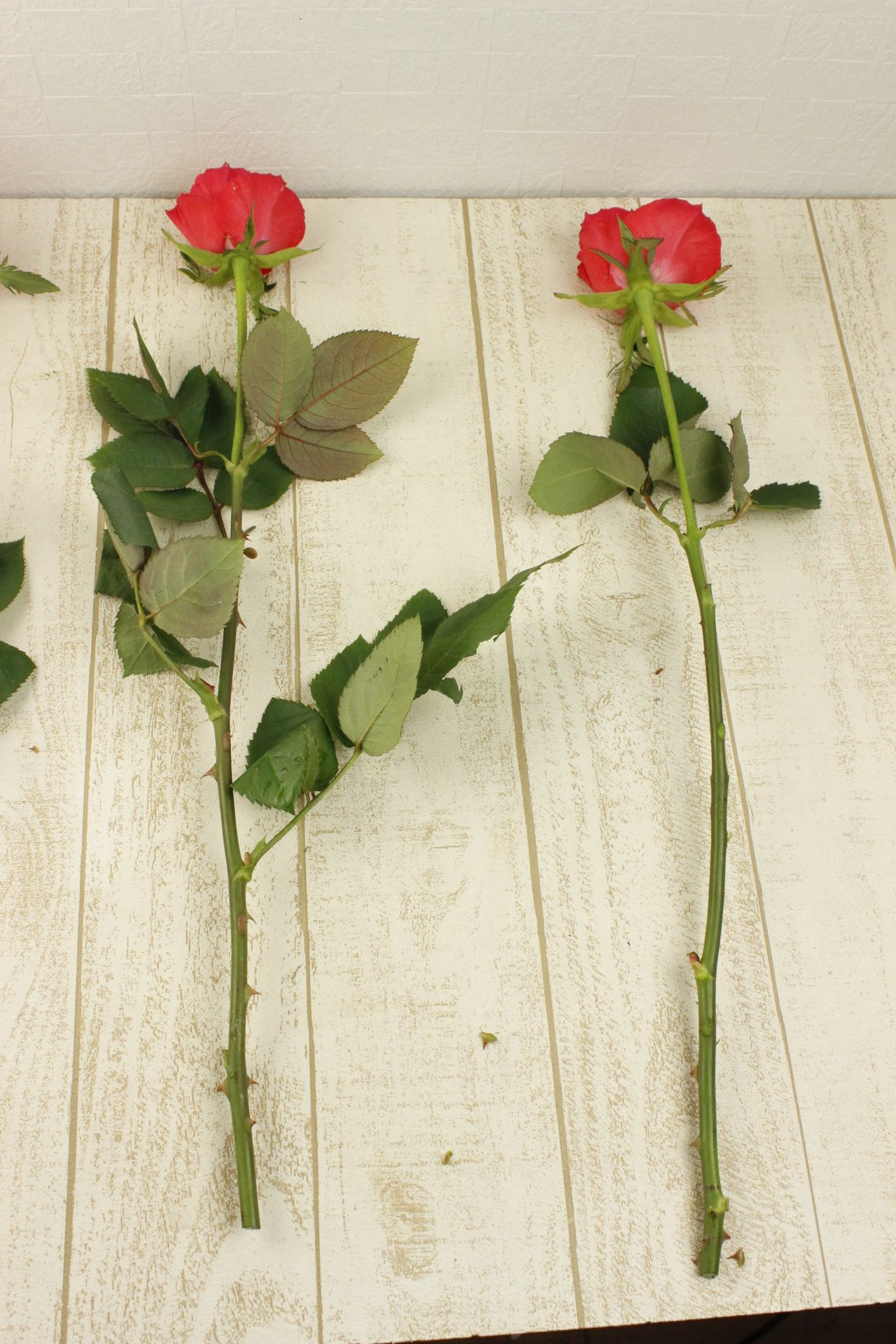 はなどんやのお花を飾る前に 生花バラの水揚げの基本 はなどんやマガジン