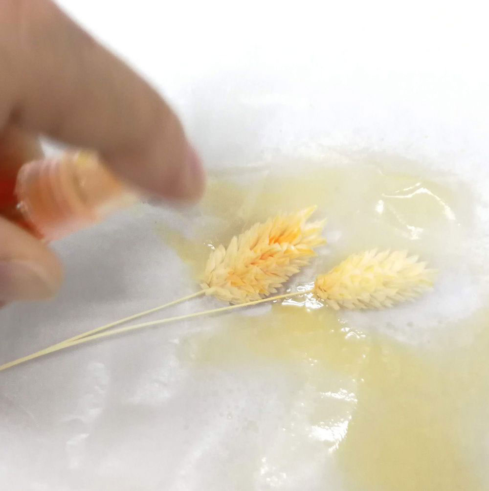 アルコールインクを使った花材染色の楽しみ方 はなどんやマガジン