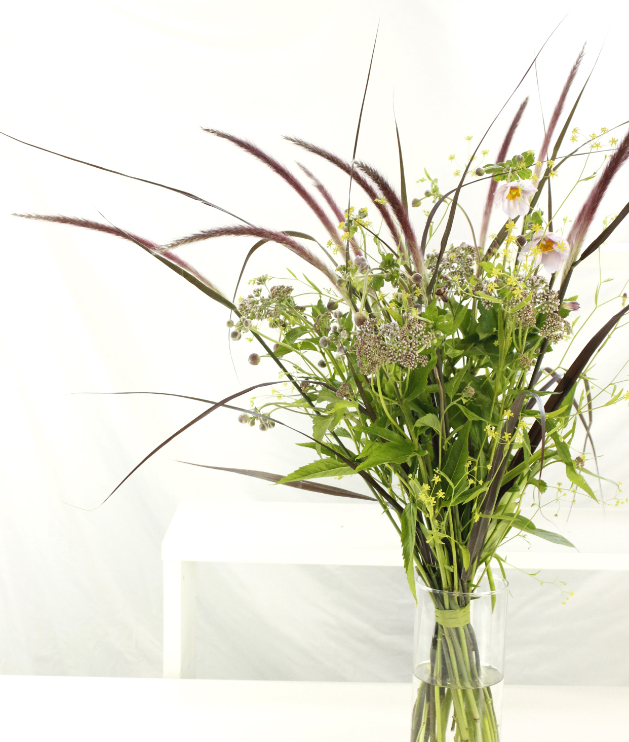 New Green Cube 夏のフラワーアレンジメント ユニークな花 植物の装飾 pcsウサギの尾の草の家の装飾のフラワーアレンジメントのための自然な乾燥した花長い Ciudaddelmaizslp Gob Mx