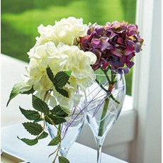 紫陽花