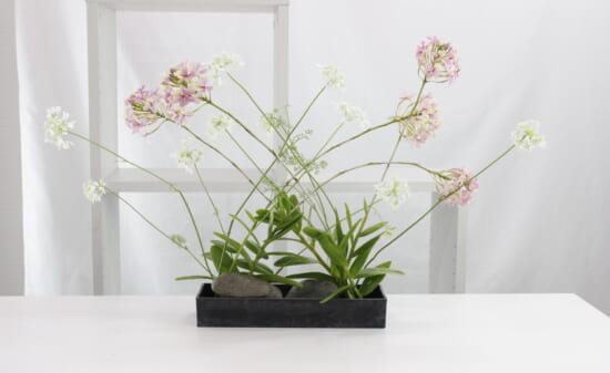 はなどんやマガジン 生け花 フラワーアレンジやガーデニングに役立つ情報が満載