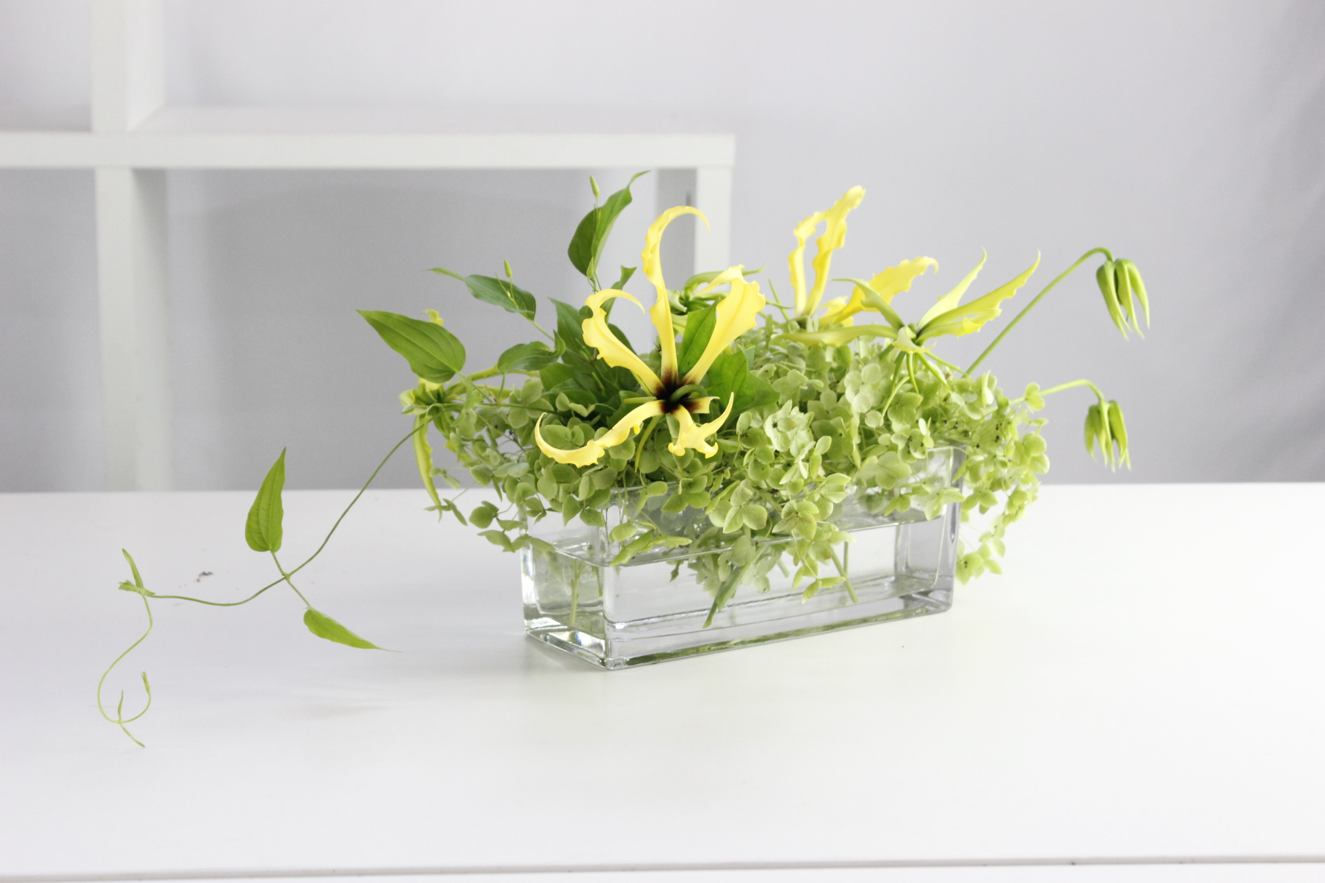 イエローグロリオサの爽やかインテリア の作り方 うきうき花レシピ はなどんやマガジン イエローグロリオサの爽やかインテリア の作り方 うきうき花レシピ はなどんやマガジン