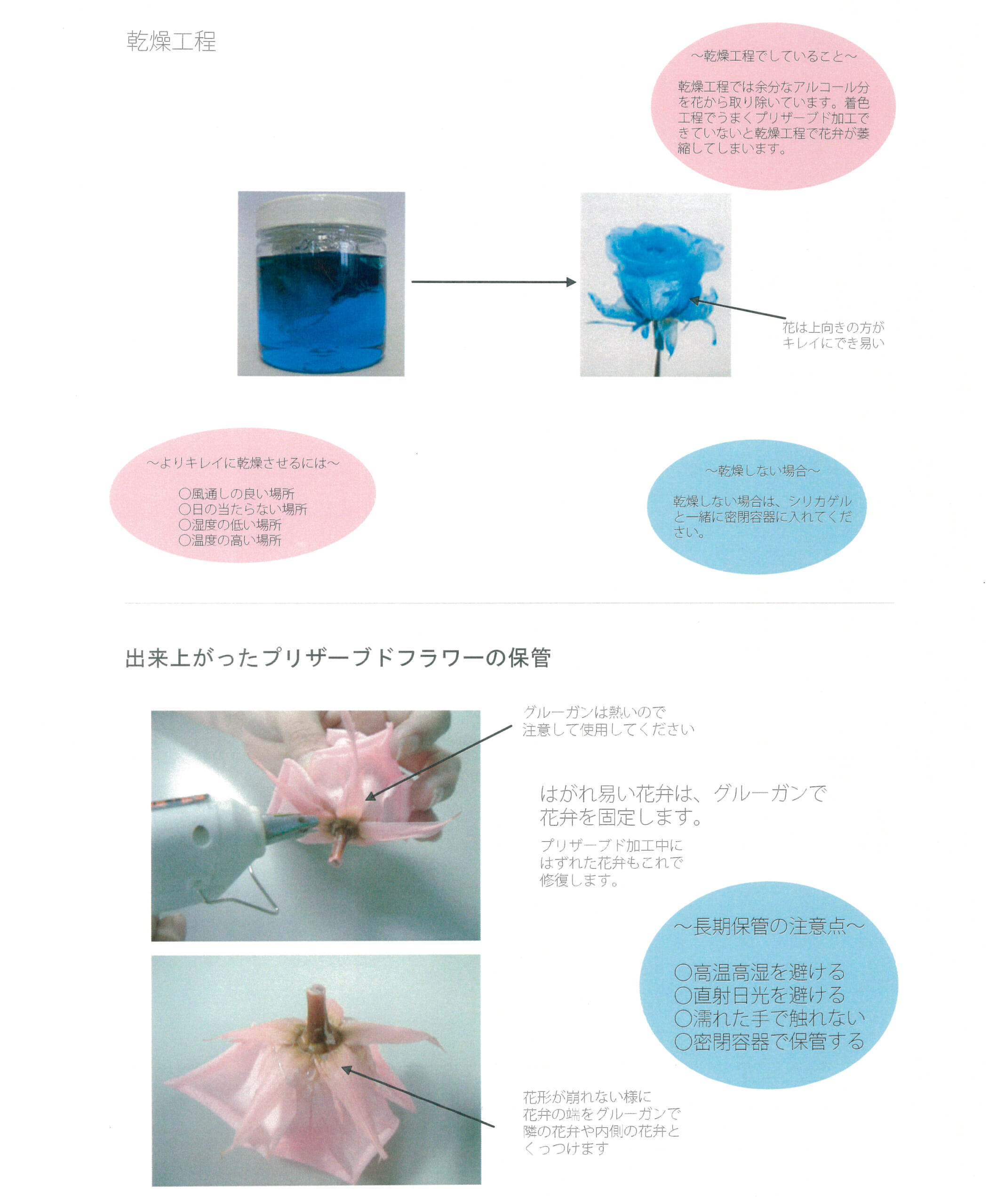 乾燥・保管工程