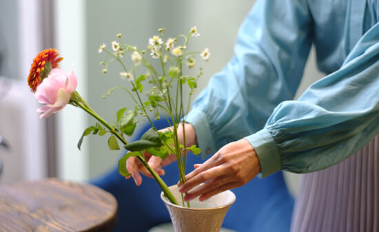 はなどんやアソシエ - 日本最大級の花材問屋通販サイト