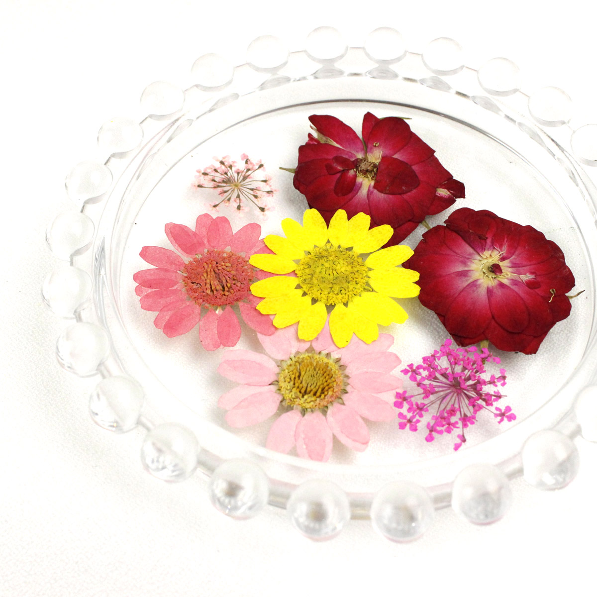 Amazon.co.jp: 押し花: 押す花と押さない花たち : ワ-ルド