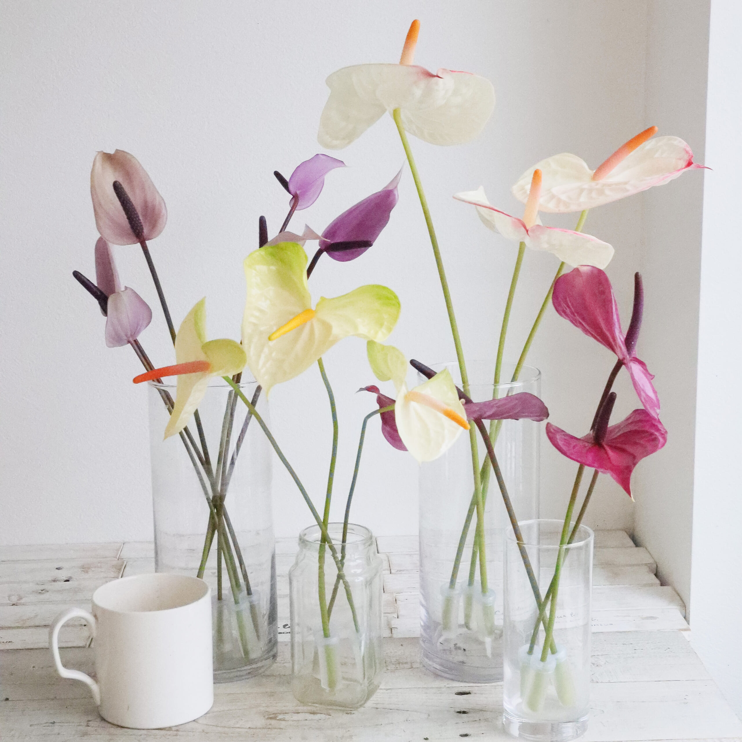 アンスリウムとプリメラのデイップフラワーアレンジメント 夏に強いアンスリウムをもっと楽しむ！アンスリウムの水揚げ方法、飾り