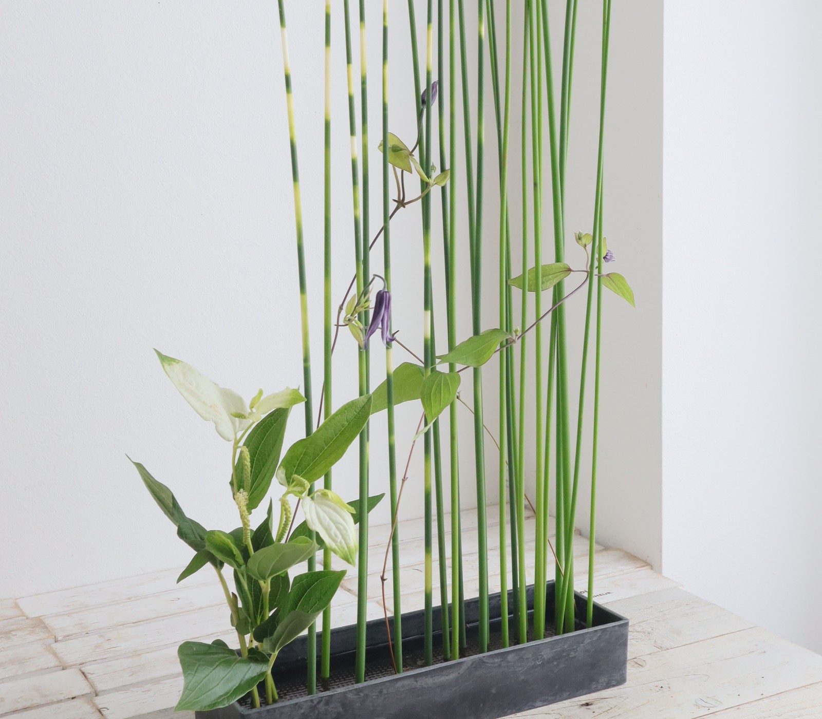 はなどんやアソシエ - 日本最大級の花材問屋通販サイト