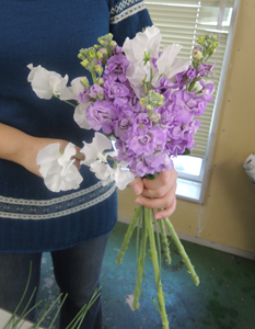 ストックの春の香りの花束 はなどんやマガジン