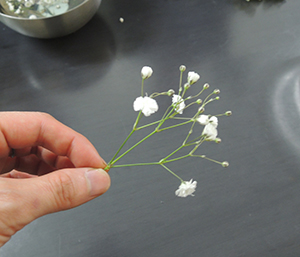 かすみ草の花冠とブーケの作り方 ウエディングにぴったり うきうき花レシピ はなどんやマガジン