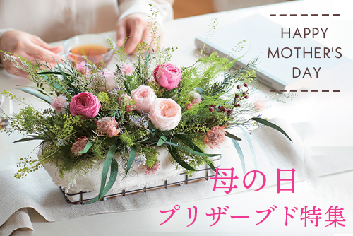 母の日プリザーブドフラワー ドライフラワー材料の通販なら はなどんやアソシエ 通販 はなどんやアソシエ