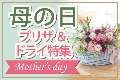 母の日プリザ