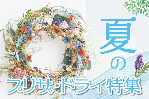 夏のプリザ特集