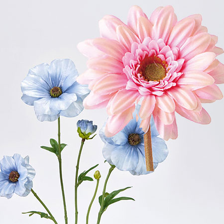 中輪の花