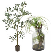 観葉植物9000円前後