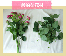 一般的な花材