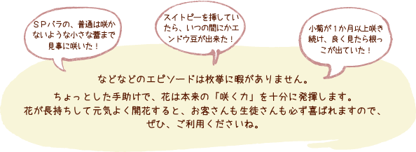 ちょっとした手助けで、花は本来の「咲く力」を十分に発揮します。花が長持ちして元気よく開花すると、お客さんも生徒さんも必ず喜ばれますので、ぜひ、ご利用くださいね。