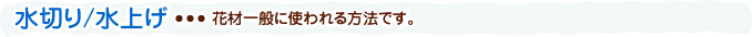 水切り/水揚げ・・・花材一般に使われる方法です。