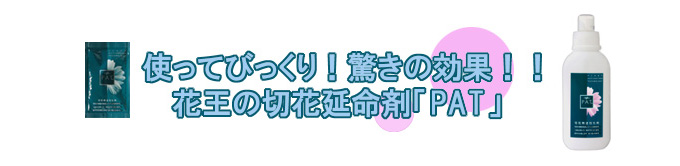 使ってびっくり！驚きの効果！！花王の切花延命剤「PAT」