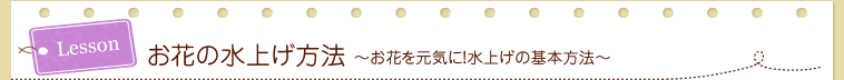 お花の水揚げ方法～お花を元気に！水揚げの基本方法～